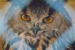 New Exhibition to open in Keynsham